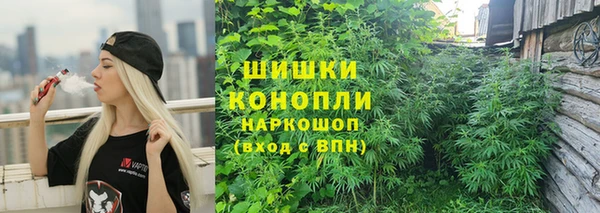 PSILOCYBIN Бугульма